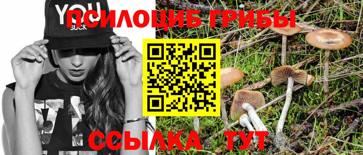 Чернушка  Галлюциногенные грибы MAGIC MUSHROOMS  где можно купить   Псилоцибиновые грибы ЛСД  Вход с VPN 